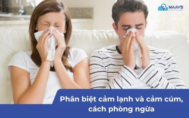 cảm lạnh và cảm cúm