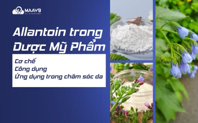 ALLANTOIN - CƠ CHẾ , CÔNG DỤNG đối với làn da, ỨNG DỤNG TRONG DƯỢC MỸ PHẨM