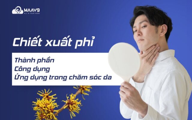 Chiết xuất phỉ: thành phần, công dụng với làn da và ứng dụng trong mỹ phẩm