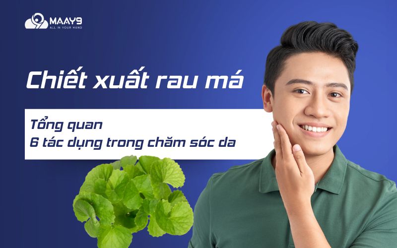 Chiết xuất rau má: tổng quan, 6 tác dụng trong chăm sóc da