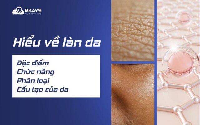 Hiểu về làn da: đặc điểm, chức năng, phân loại, cấu tạo của da